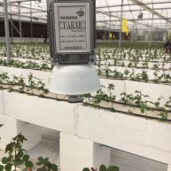نصب سیستم هوشمند گلخانه در ورامین باغ خاص 2 هکتار گل رز