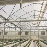 نصب سیستم هوشمند گلخانه در ورامین باغ خاص 2 هکتار گل رز