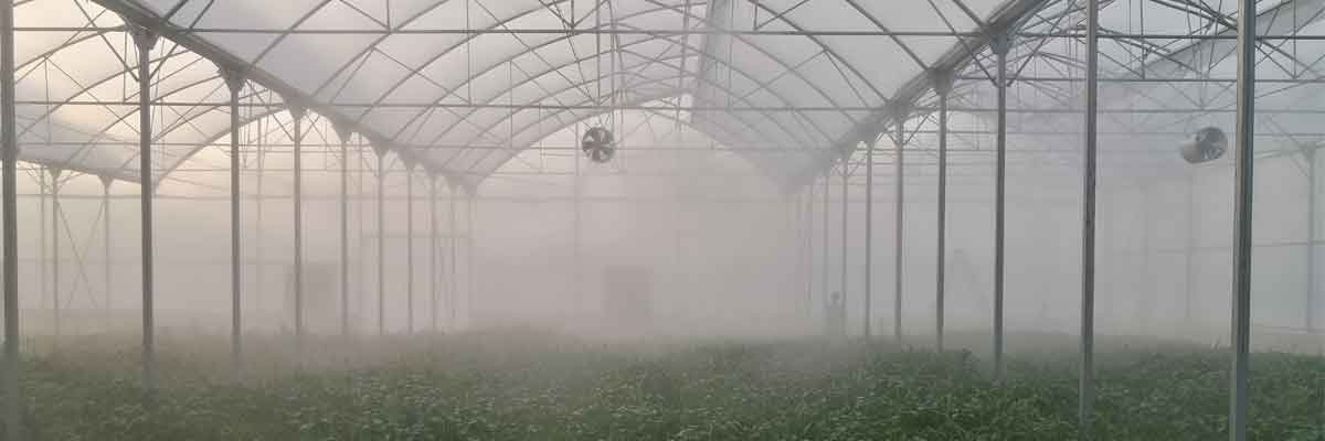  مه پاش گلخانه مهپاش صنعتی